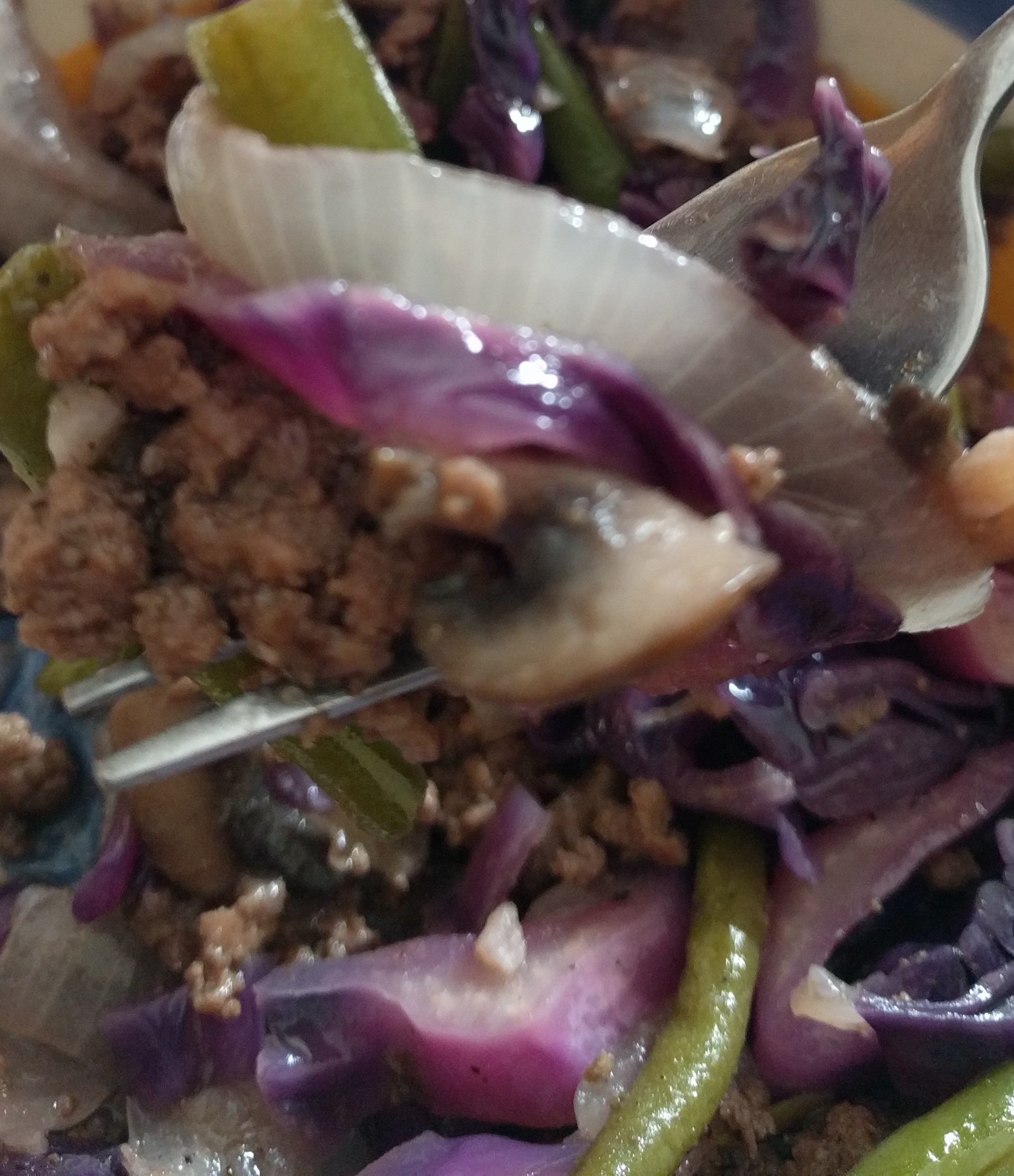 Homemade Meat and Vegetable Chinese (Paleo)