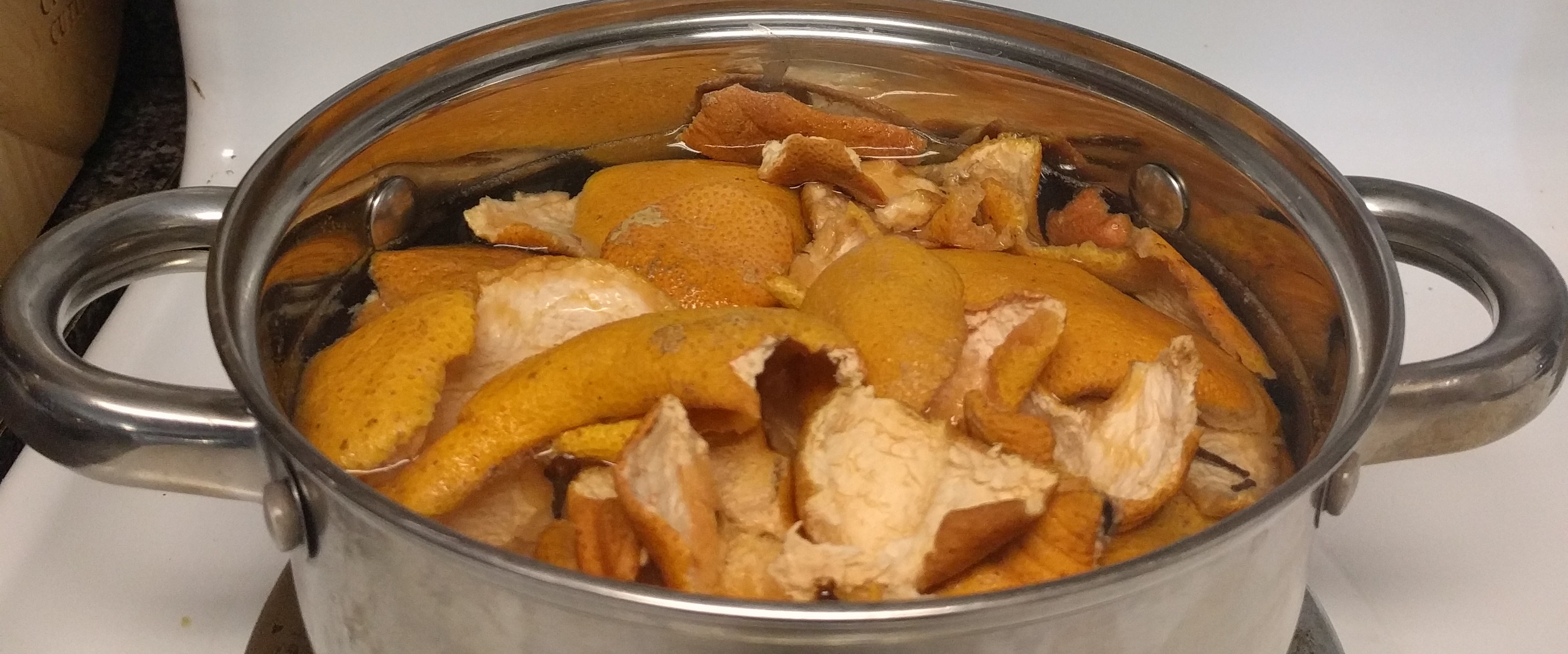 Winter Citrus Stove Top Potpourri