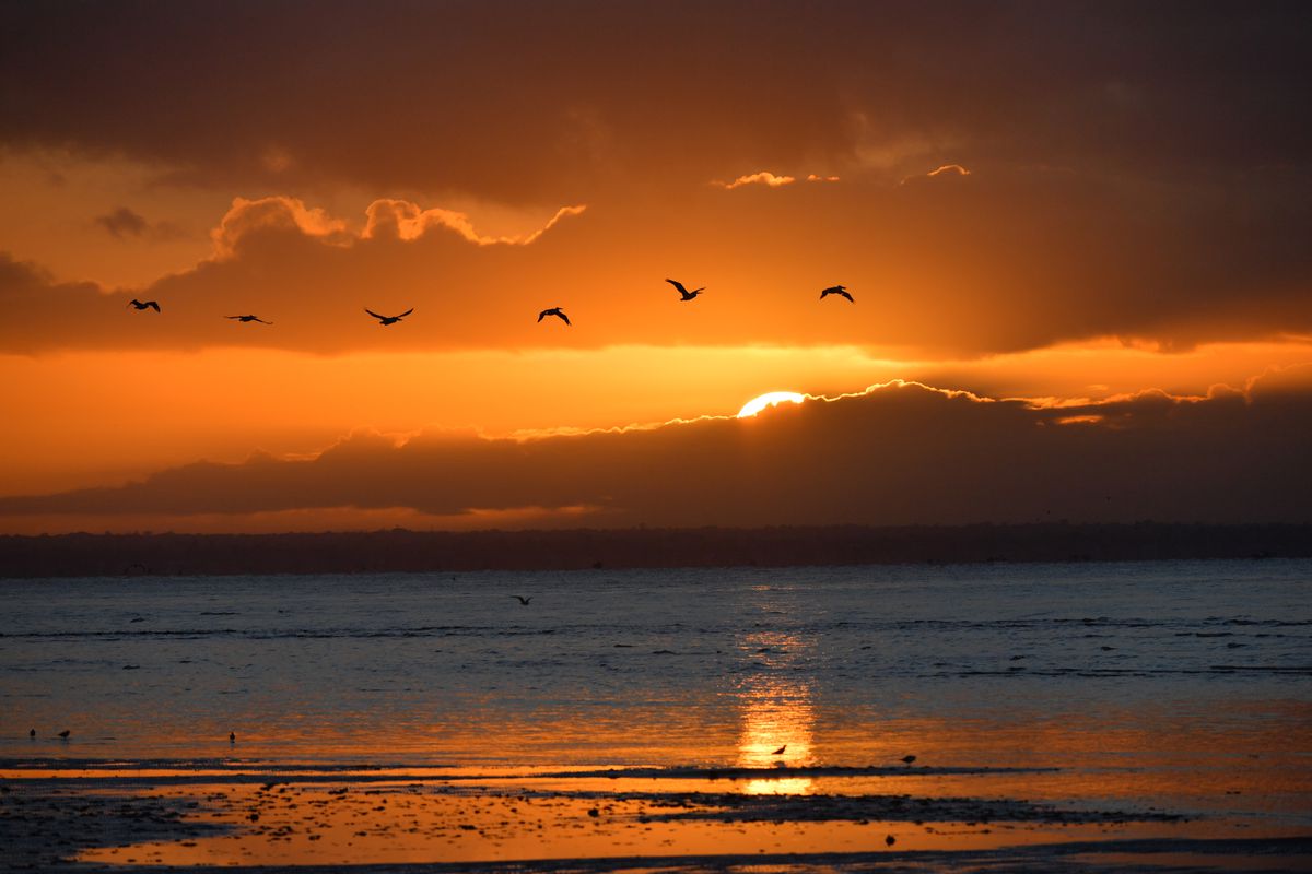 Scripture Sunday: What Does Your Spiritual Life Look Like For 2019?